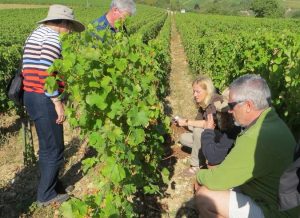 Séjour entre amis dans les vignobles du Grand Sancerrois